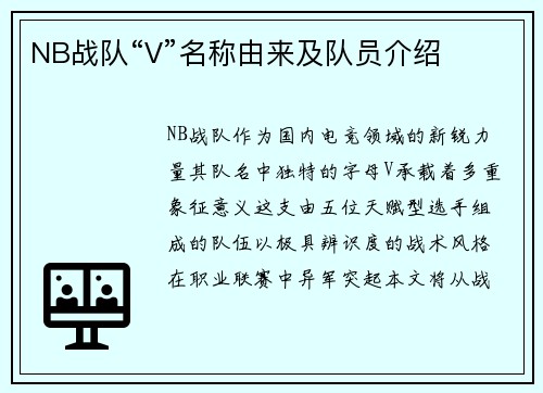 NB战队“V”名称由来及队员介绍