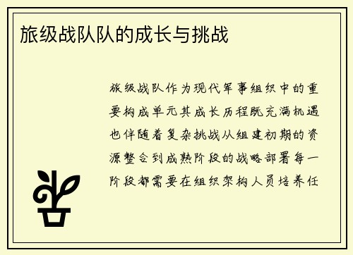 旅级战队队的成长与挑战